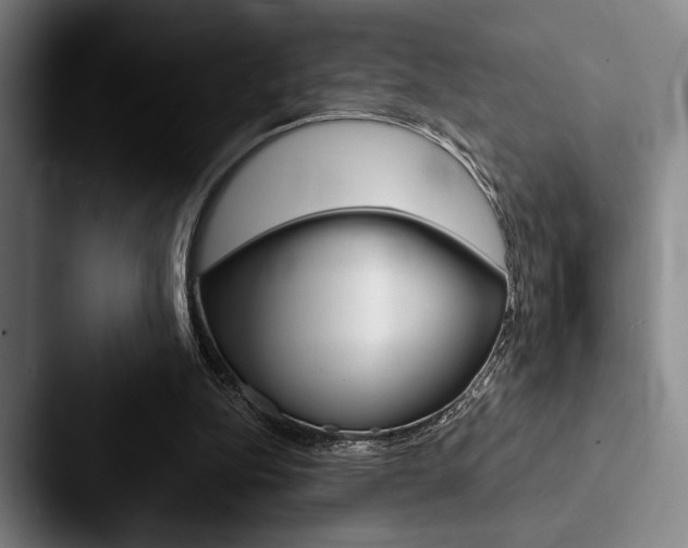 X0000088060152200705110920