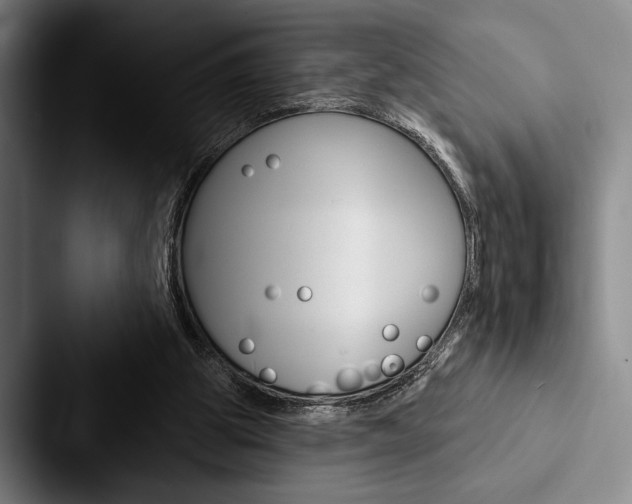 X0000088060153200705110920