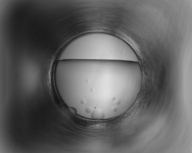 X0000088060155200705110920