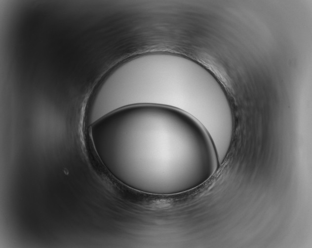X0000088060156200705110920