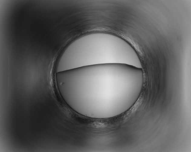 X0000088060159200705110920