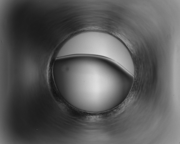 X0000088060160200705110920