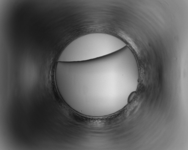 X0000088060161200705110921