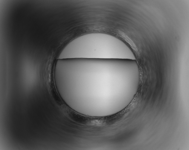 X0000088060163200705110921