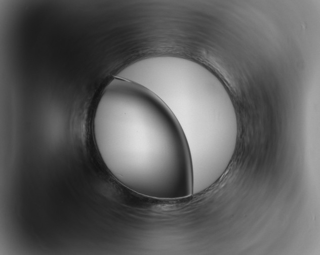 X0000088060164200705110921