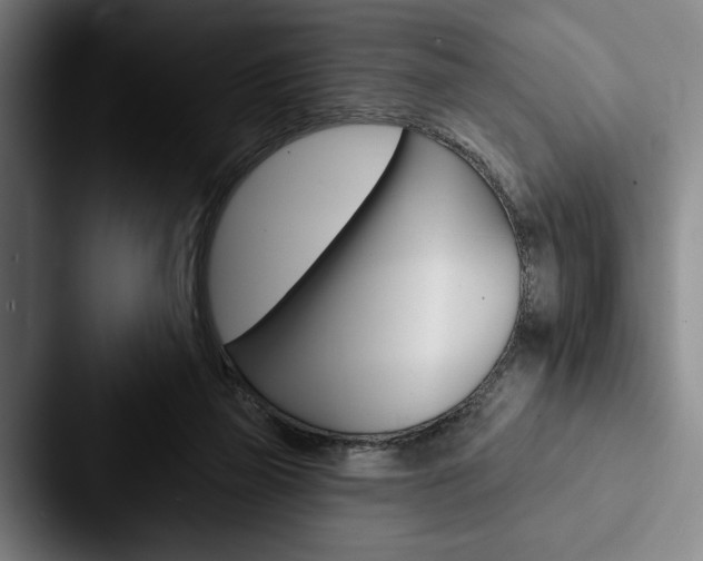 X0000088060165200705110921