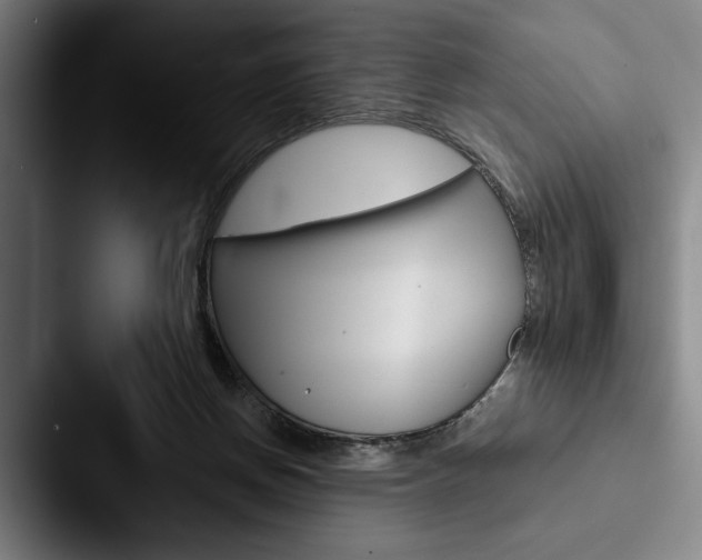 X0000088060166200705110921