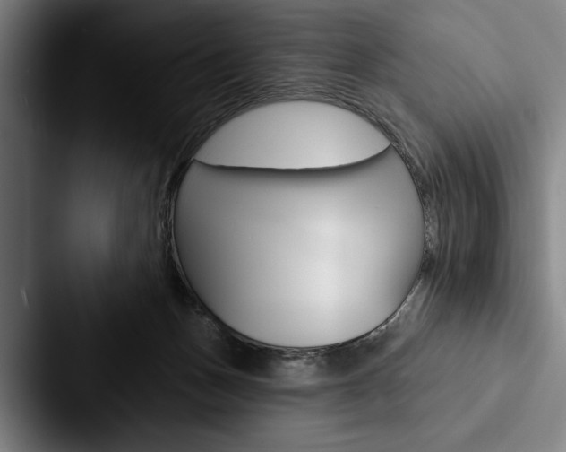 X0000088060175200705110921