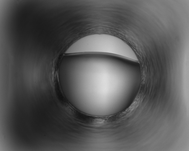 X0000088060176200705110921