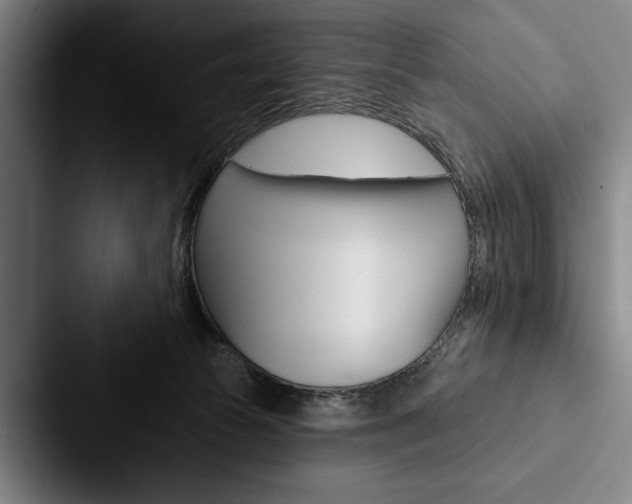 X0000088060177200705110921