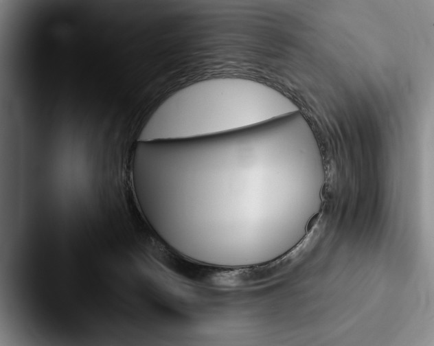X0000088060178200705110921