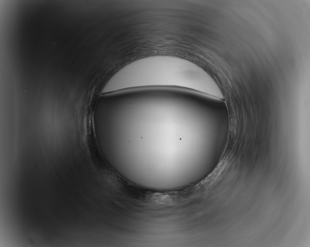 X0000088060180200705110921