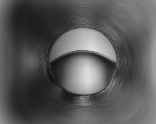 X0000088060184200705110921