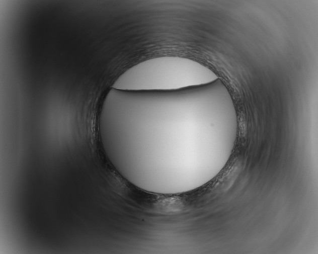 X0000088060185200705110921