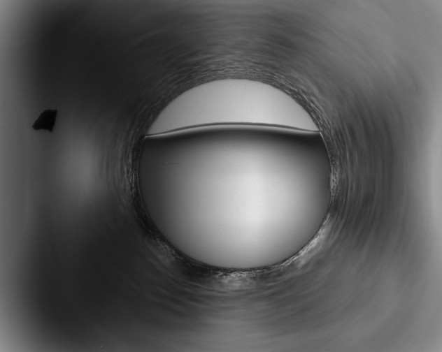 X0000088060186200705110921