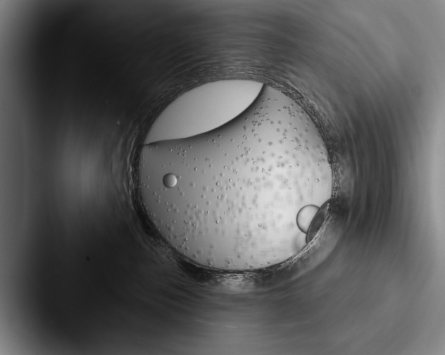 X0000088060187200705110921