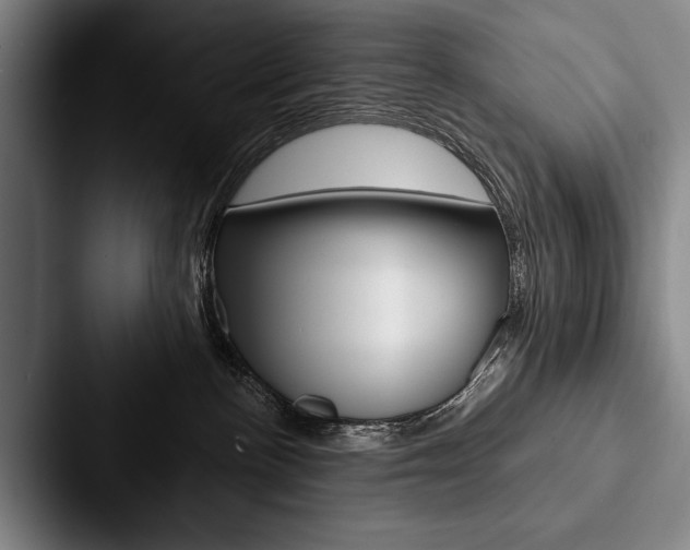 X0000088060188200705110921