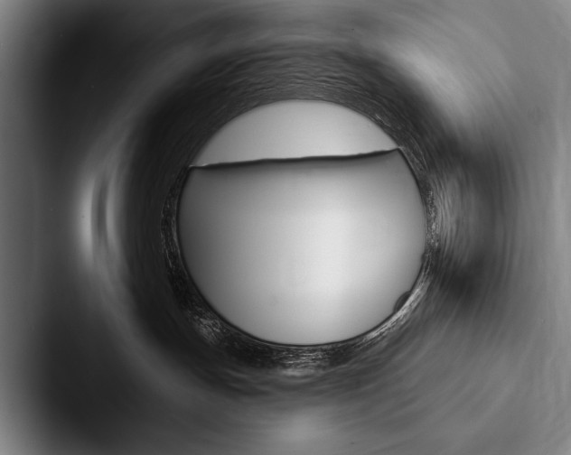 X0000088060191200705110921