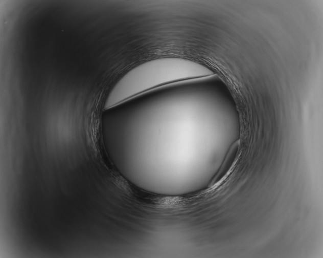 X0000088060192200705110921