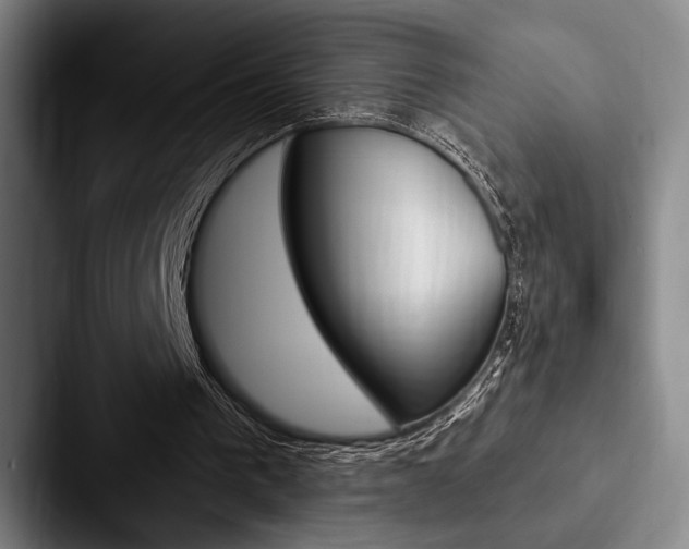 X0000088060193200705110920