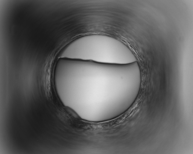 X0000088060194200705110920
