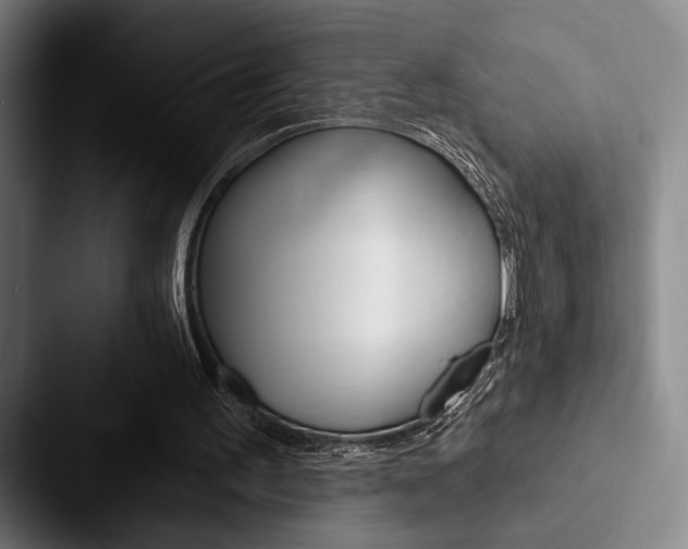 X0000088060195200705110920