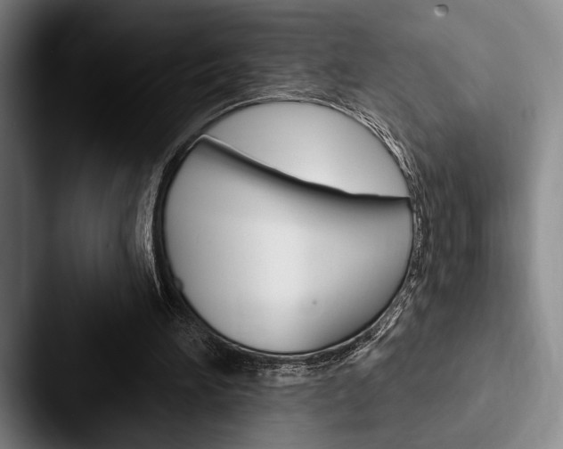 X0000088060196200705110920