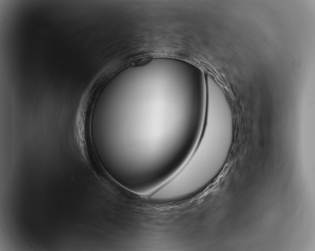 X0000088060197200705110920