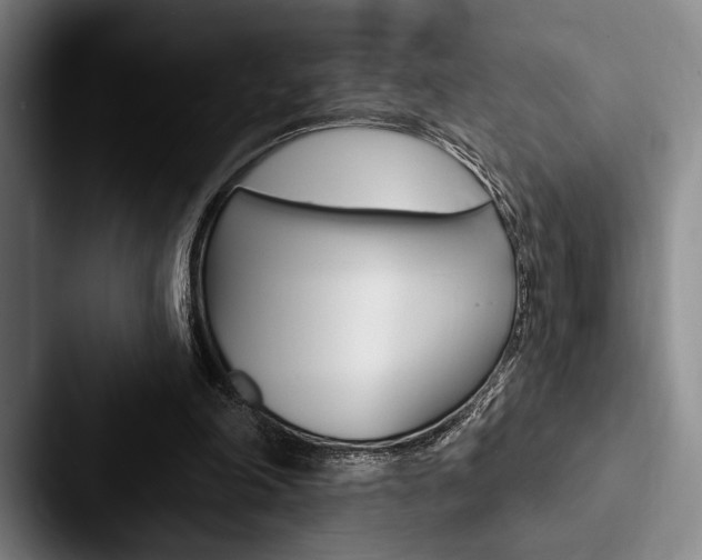 X0000088060198200705110920