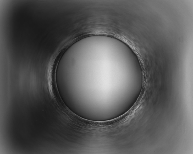 X0000088060199200705110920