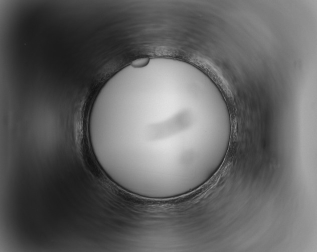 X0000088060202200705110920
