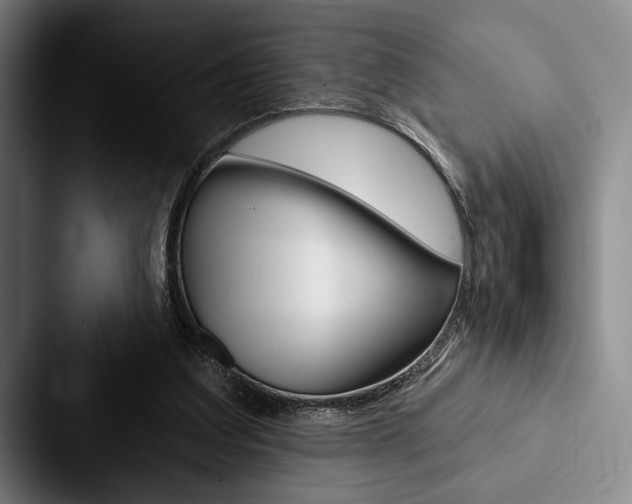 X0000088060203200705110920