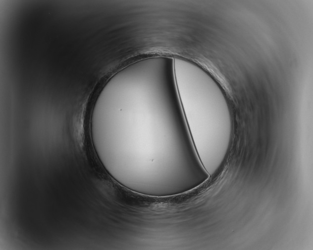 X0000088060204200705110920