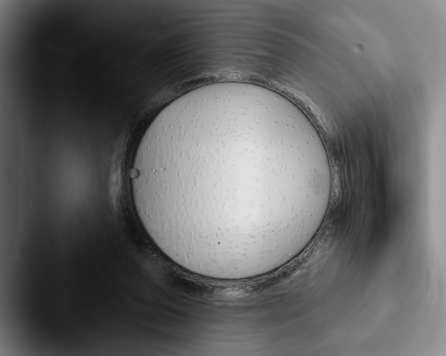 X0000088060208200705110920