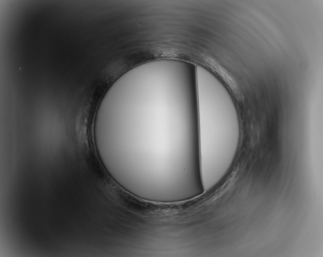 X0000088060209200705110920