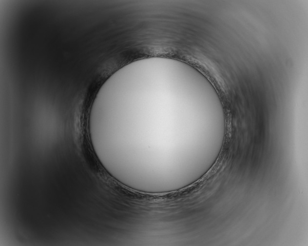 X0000088060210200705110920