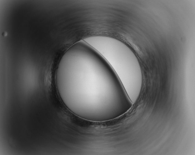 X0000088060211200705110920