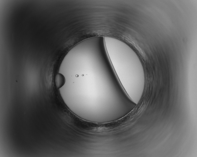 X0000088060212200705110920