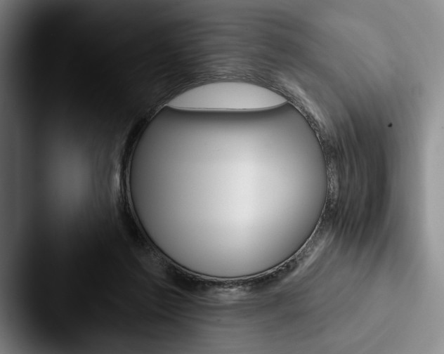 X0000088060213200705110920