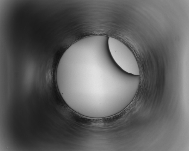 X0000088060214200705110920
