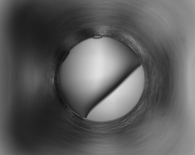 X0000088060217200705110920