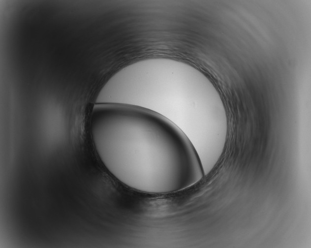 X0000088060219200705110920