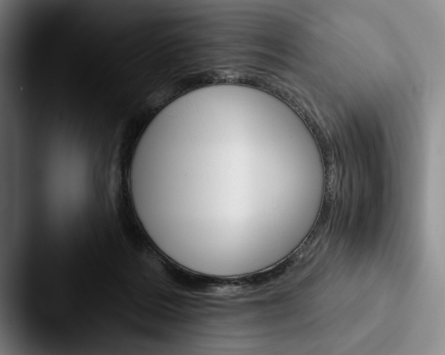 X0000088060220200705110920