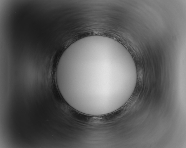 X0000088060222200705110920