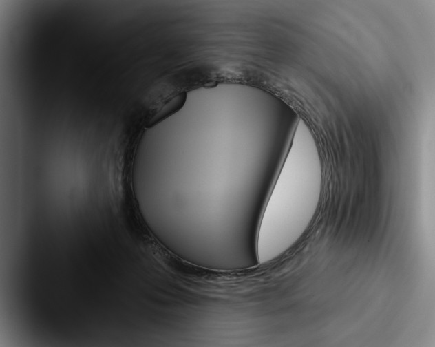 X0000088060223200705110920