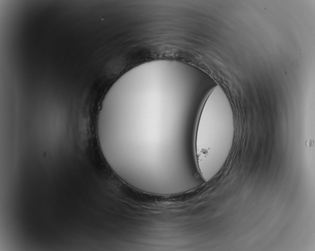 X0000088060224200705110920