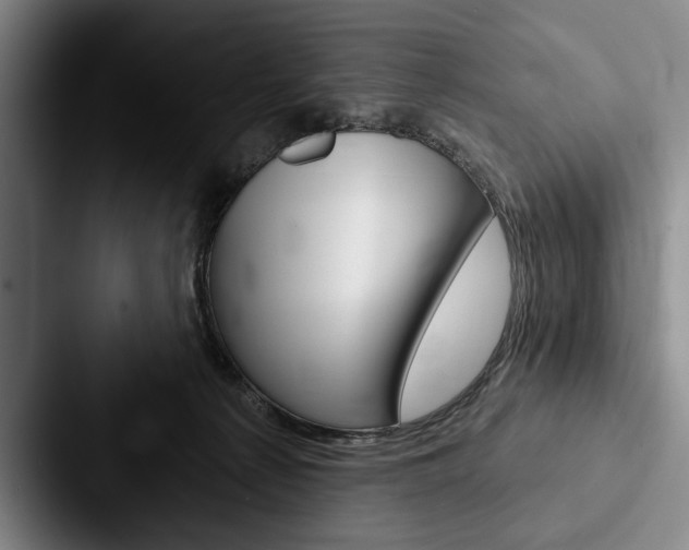X0000088060225200705110920