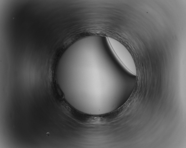 X0000088060227200705110920