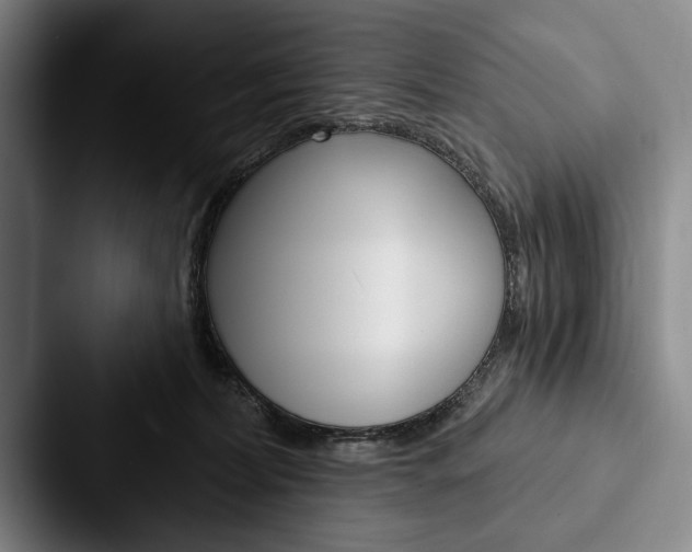 X0000088060228200705110920