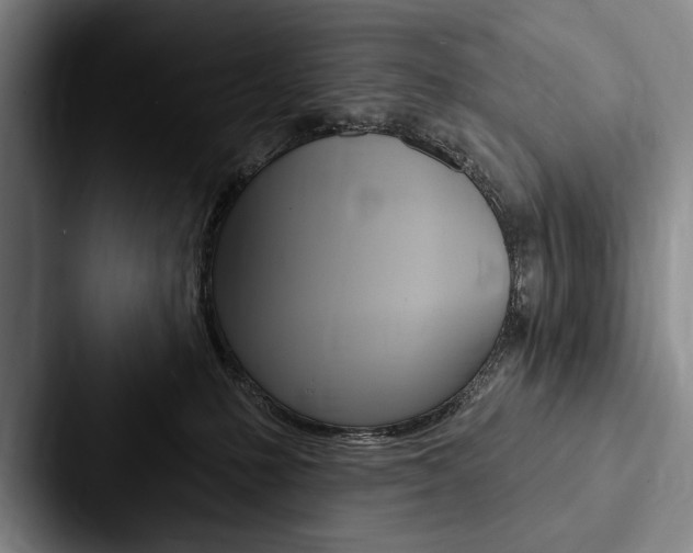 X0000088060231200705110920